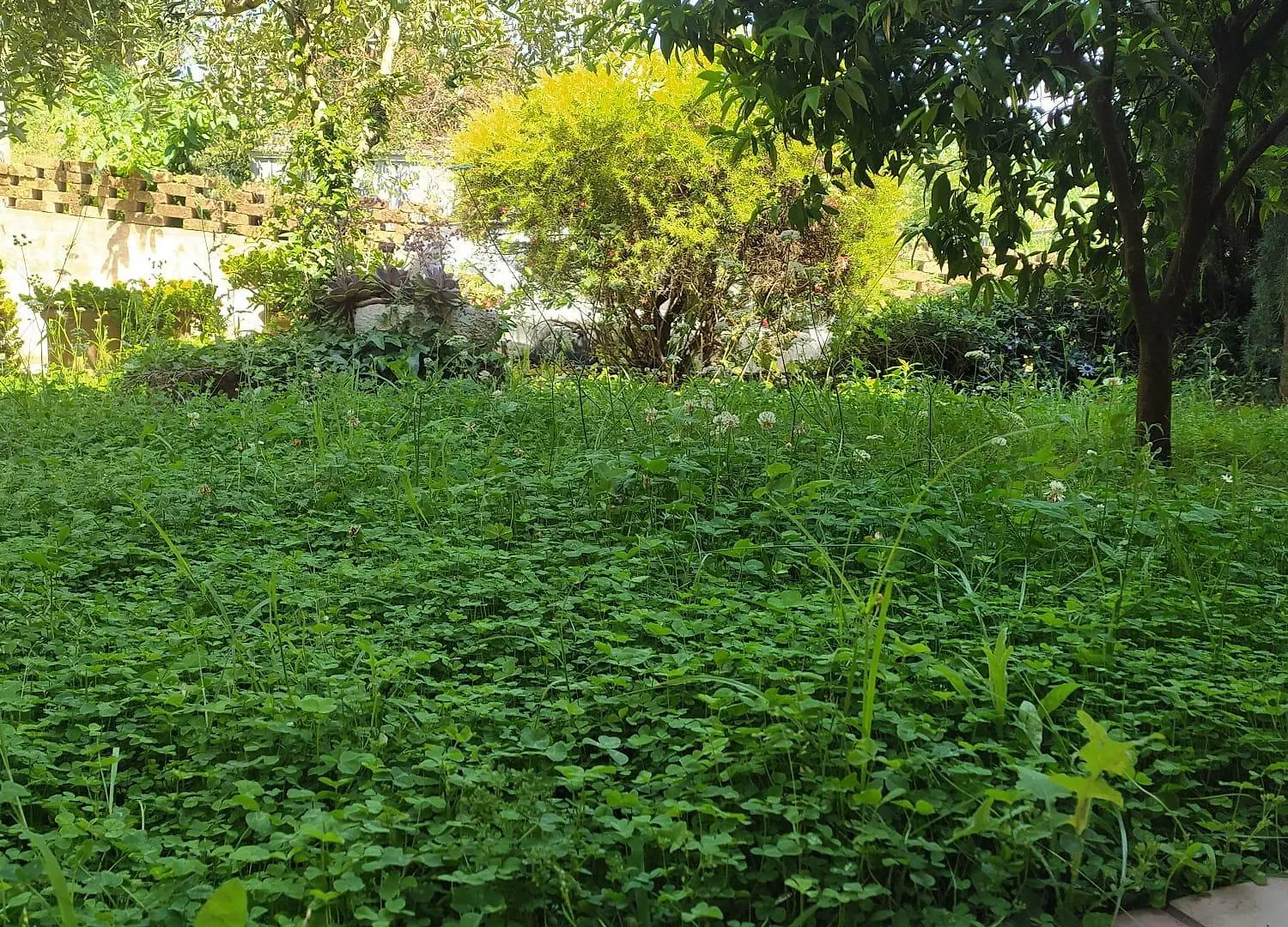 Villa Il Fienile In Toscana A Warm Interior Just A Few Minutes From The Beach Stiava