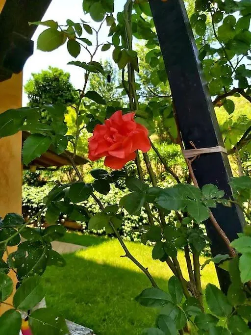 Villa Il Fienile In Toscana A Warm Interior Just A Few Minutes From The Beach Stiava Italia