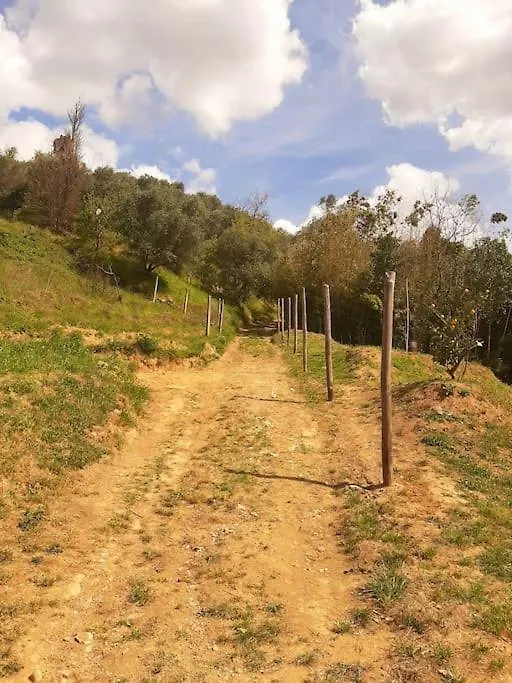 Il Fienile In Toscana A Warm Interior Just A Few Minutes From The Beach Stiava Villa