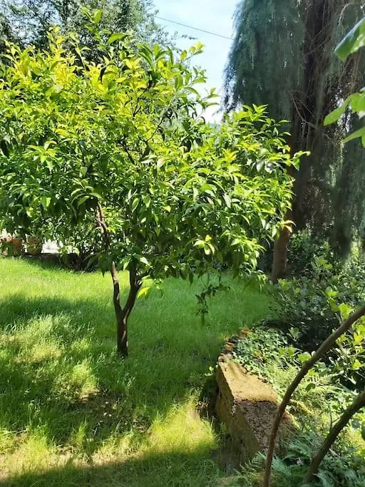 Villa Il Fienile In Toscana A Warm Interior Just A Few Minutes From The Beach Stiava Italia